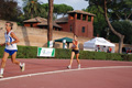 stafpat_3708