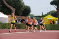 stafpat_3773
