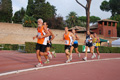 stafpat_3783