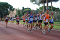 stafpat_3852