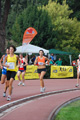 stafpat_3954