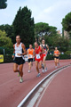 stafpat_4014