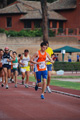 stafpat_4232