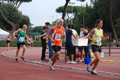 stafpat_4390