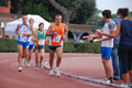 stafpat_4419