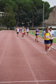 stafgeronimi_1802