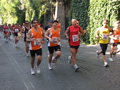 marini_0735