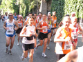 marini_0744