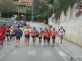 quattropani_0022_3