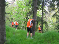 quattropani_0025_3
