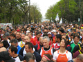 quattropani_0058_2