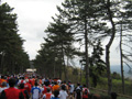 quattropani_0061