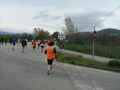 quattropani_0094