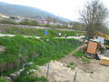 quattropani_0104
