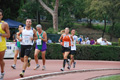 stafpat_8292