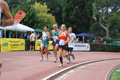 stafpat_8295
