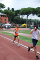 stafpat_8444