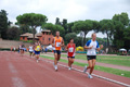 stafpat_8468