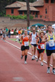 stafpat_8498