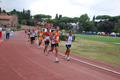 stafpat_8586