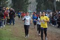corriverdeostiapinetarossa+068