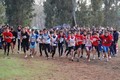 corriverdeostiapinetarossa+072