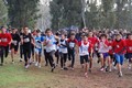 corriverdeostiapinetarossa+073