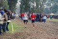 corriverdeostiapinetarossa+080