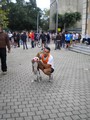 dscn6236