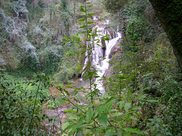 Tibur Ecotrail (14/02/2010) loretta_0006