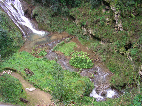 Tibur Ecotrail (14/02/2010) loretta_0009