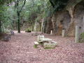 loretta_0013