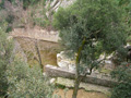 loretta_0014