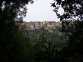loretta_0019