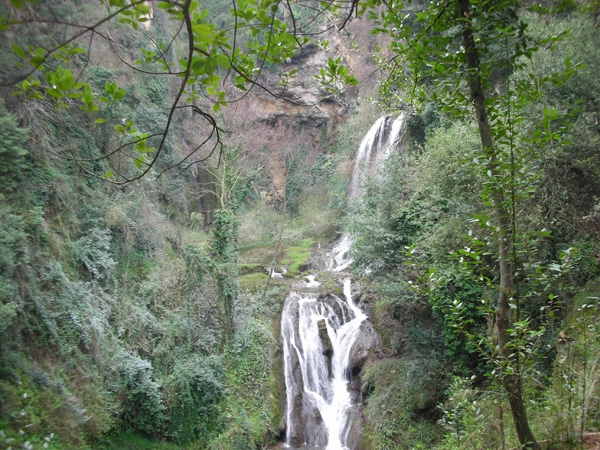 Tibur Ecotrail (14/02/2010) nania7262