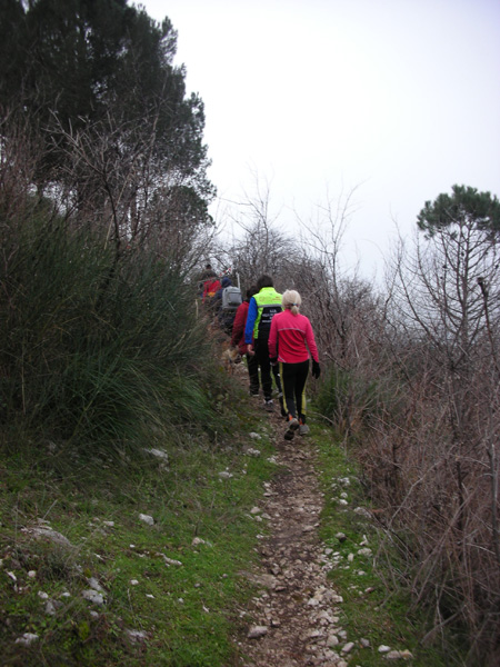 Tibur Ecotrail (14/02/2010) nania7267
