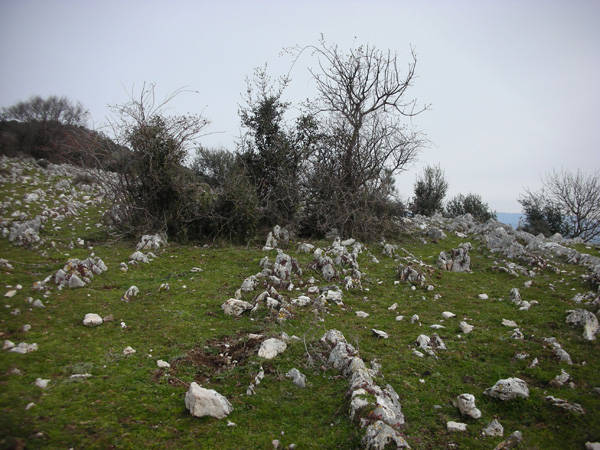 Tibur Ecotrail (14/02/2010) nania7273