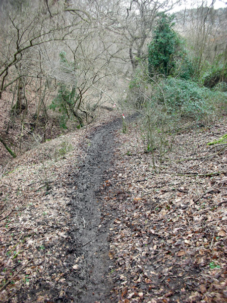 Tibur Ecotrail (14/02/2010) nania7274