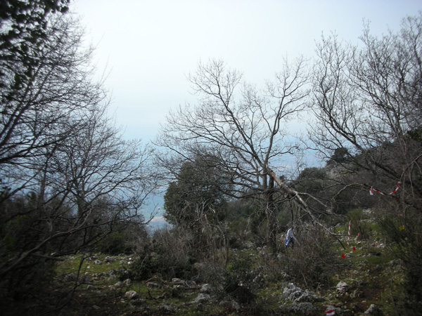 Tibur Ecotrail (14/02/2010) nania7278