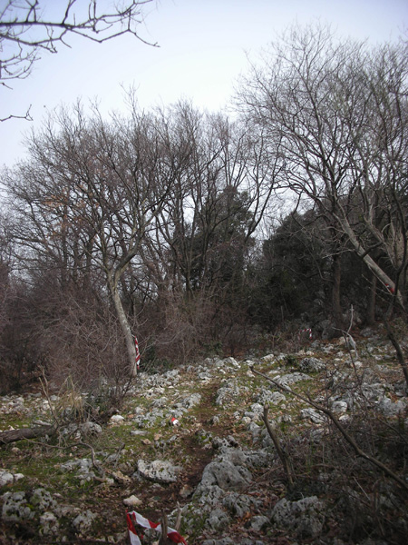 Tibur Ecotrail (14/02/2010) nania7279