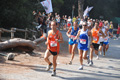 ostiaambiente_2402