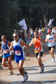 ostiaambiente_2403