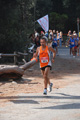 ostiaambiente_2411