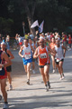 ostiaambiente_2420