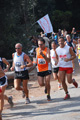 ostiaambiente_2450