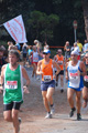 ostiaambiente_2466