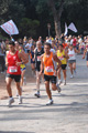 ostiaambiente_2501