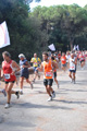 ostiaambiente_2512