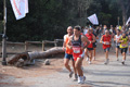 ostiaambiente_2515