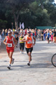 ostiaambiente_2530